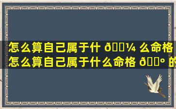 怎么算自己属于什 🌼 么命格（怎么算自己属于什么命格 🌺 的人）